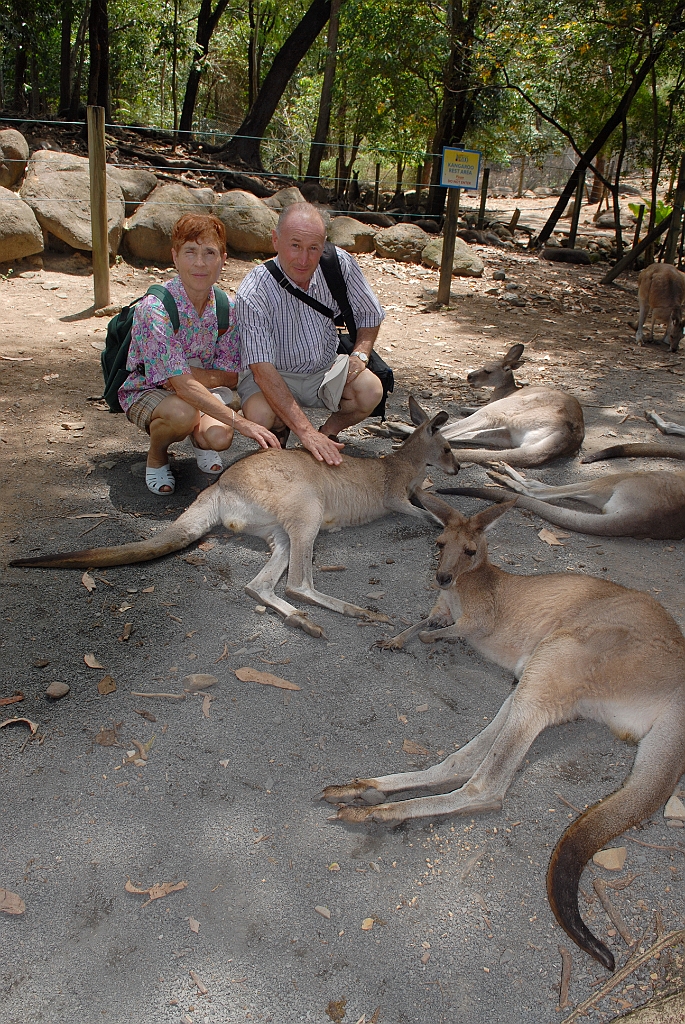0083 Cairns Tropical Zoo.jpg